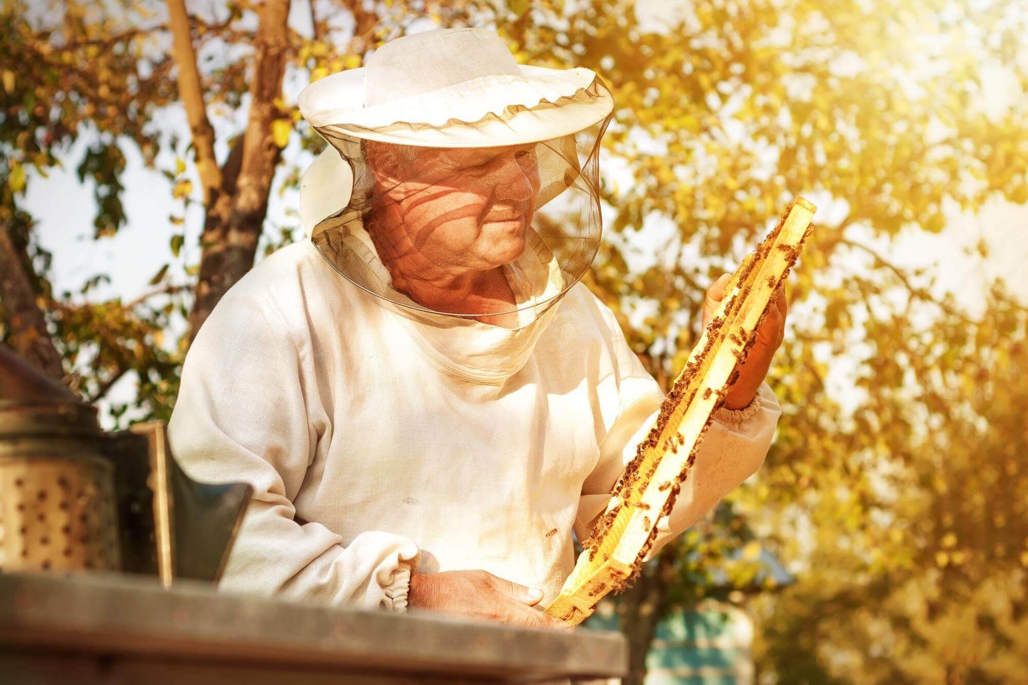 Power für dein Immunsystem