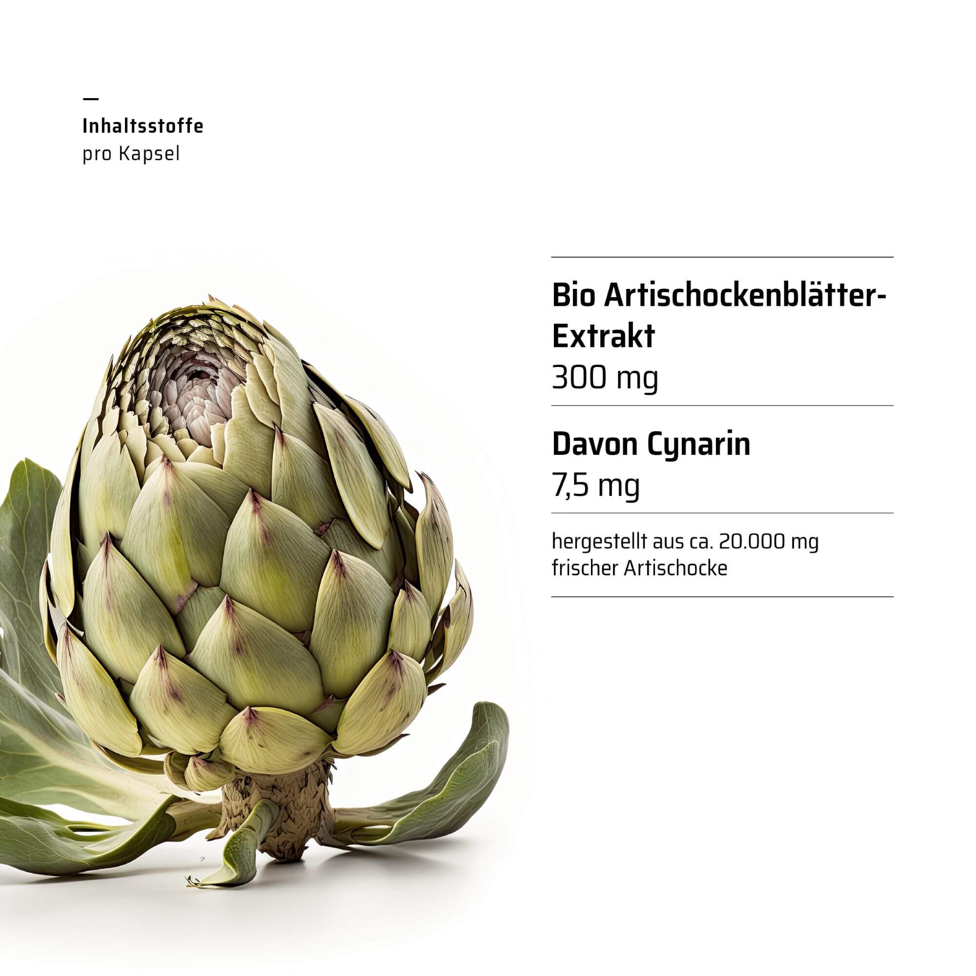 Sanhelios Bio Artischocke Kapseln, 100 St.