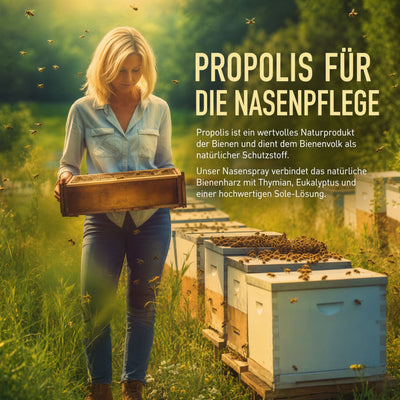 Sanhelios Propolis Nasenspray 20 ml