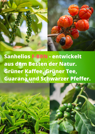 Sanhelios F-BRN Kapseln 100 Stück - Sanhelios-Shop