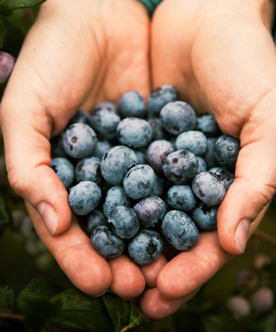 Sanhelios Augenwohl Kapseln 60 St. - Sanhelios-Shop